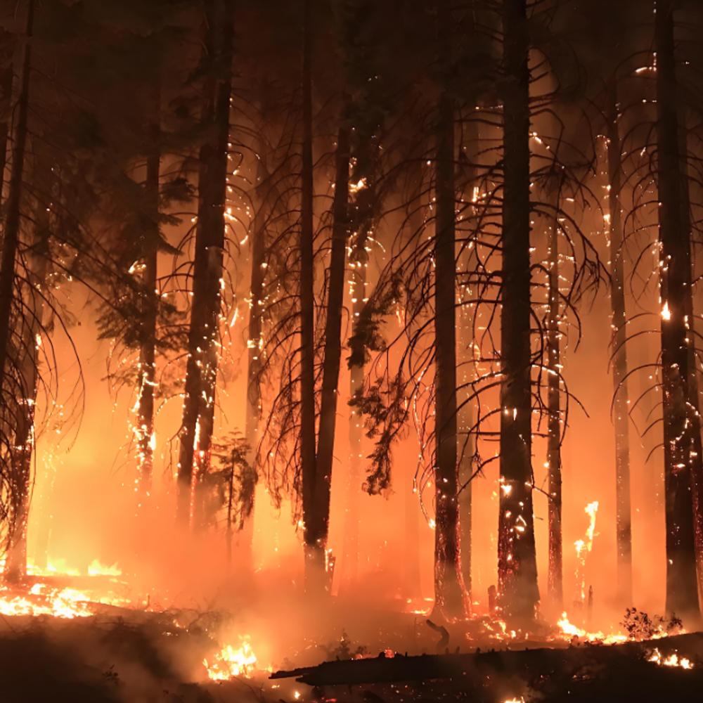 Wildfires and air purification: challenges and responses